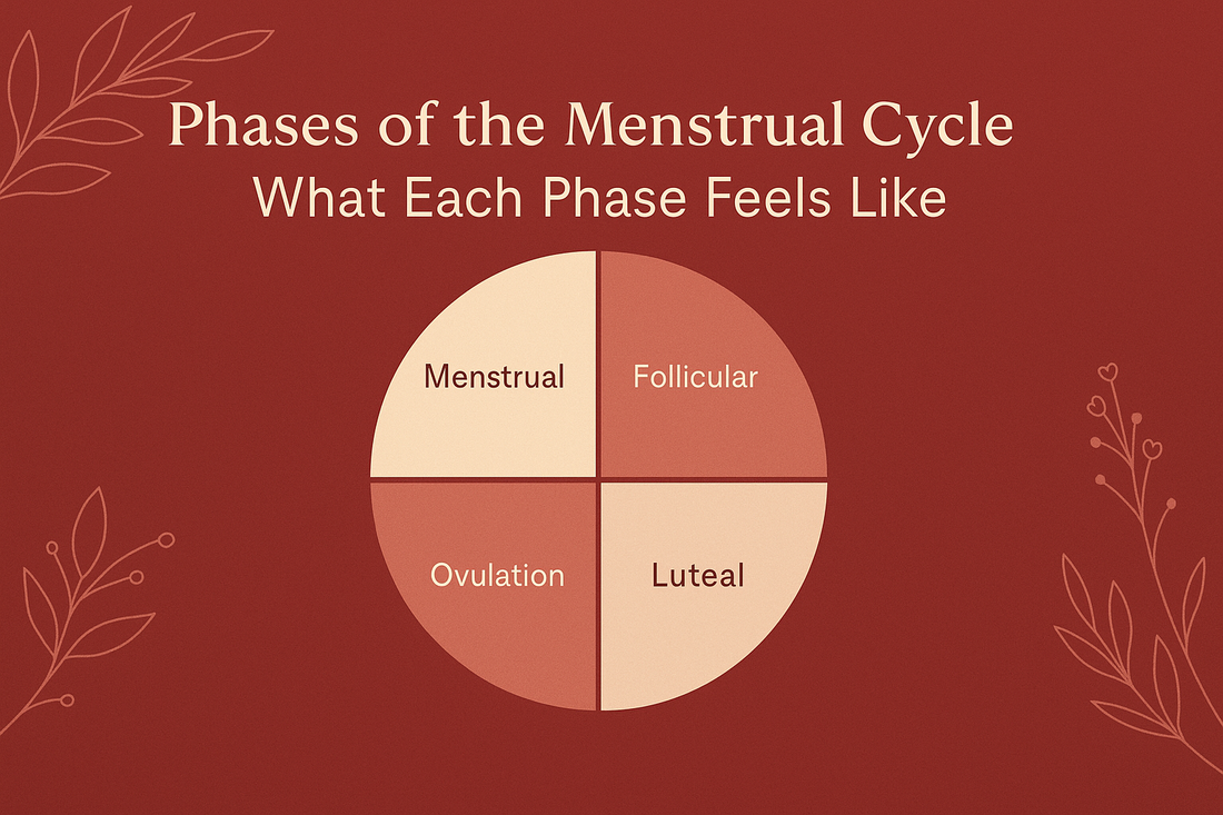 Phases of the Menstrual Cycle
