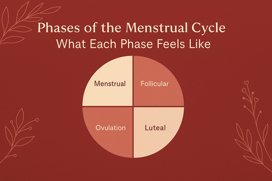 Phases of the Menstrual Cycle
