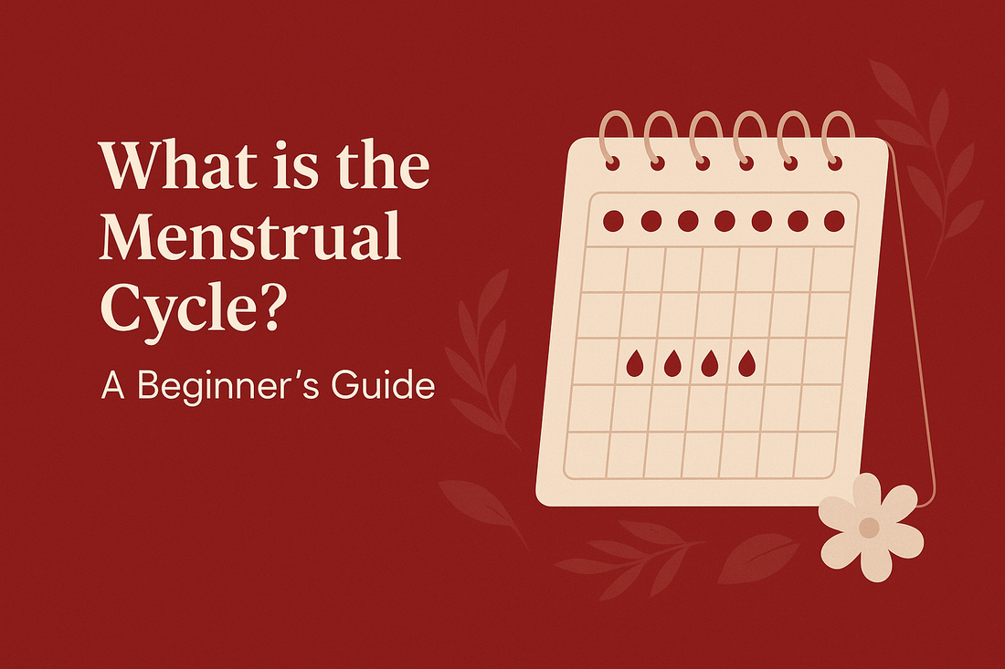 What is the Menstrual Cycle?