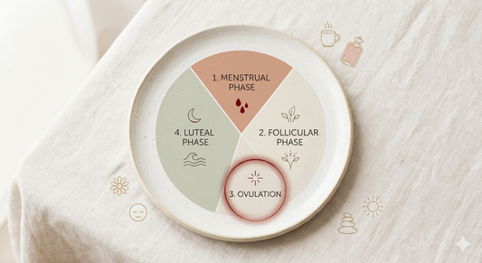 Diagram showing the four phases of the menstrual cycle with labels and flow.